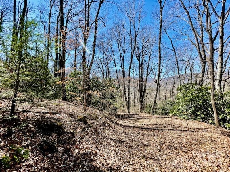 11.12 Acres Middle Mountain Road 5
