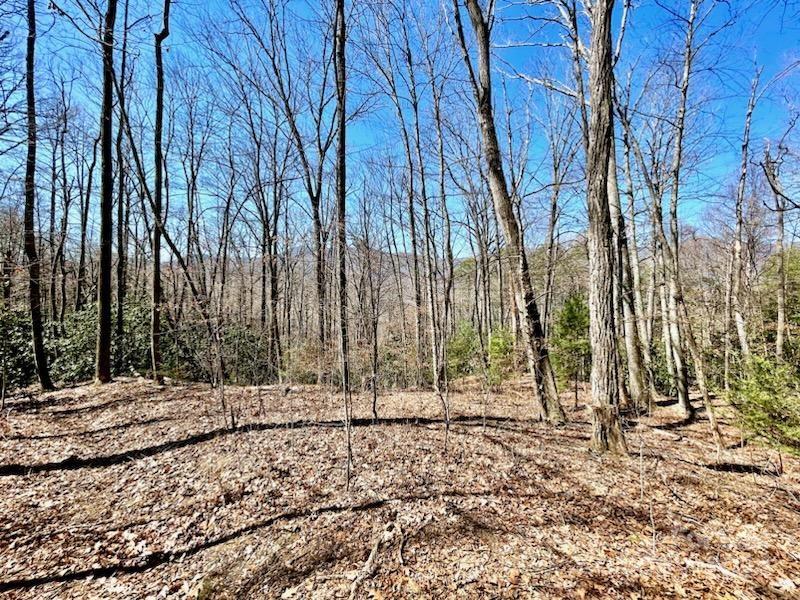 11.12 Acres Middle Mountain Road 5