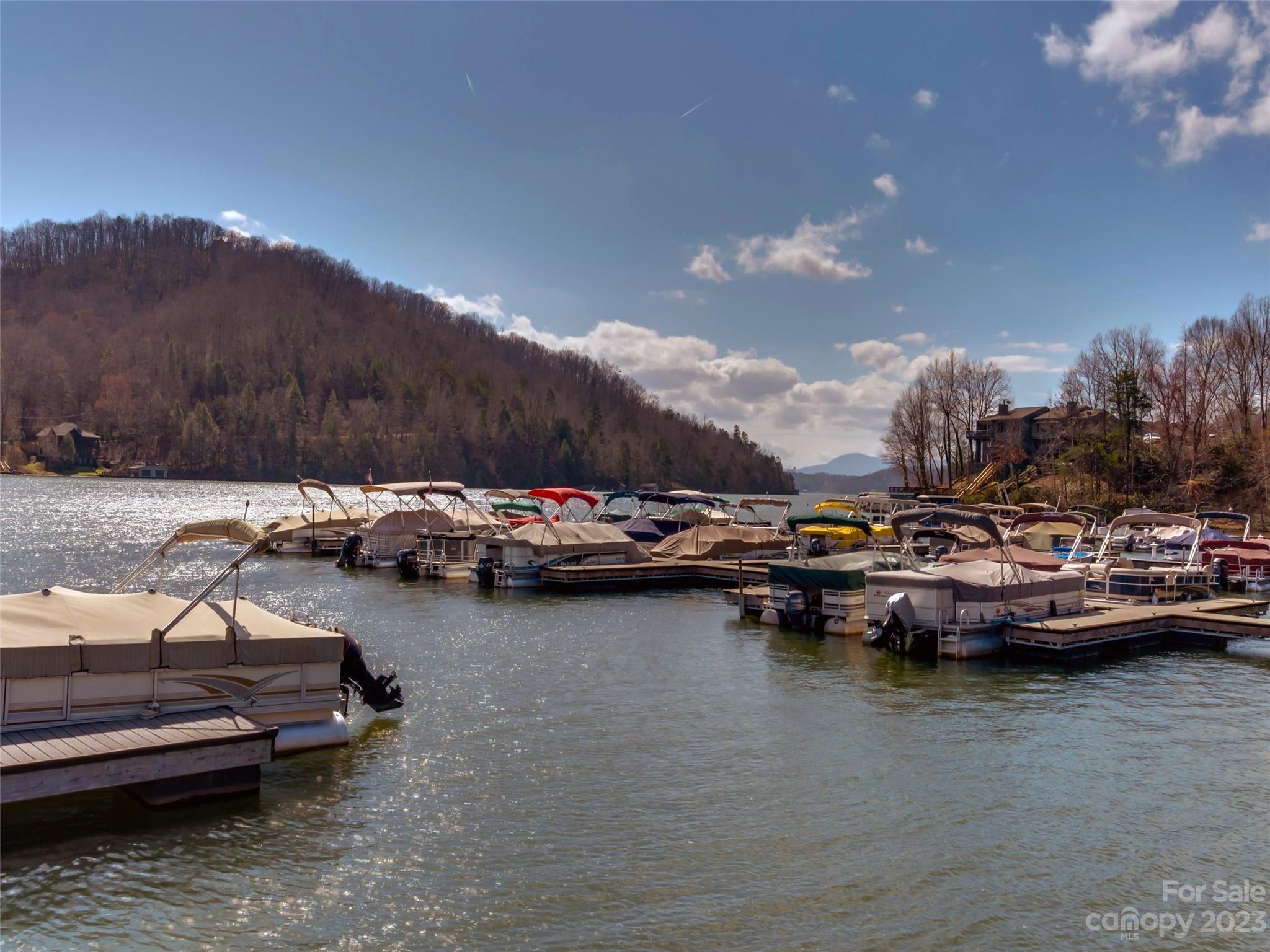 Rumbling Bald on Lake Lure - Land
