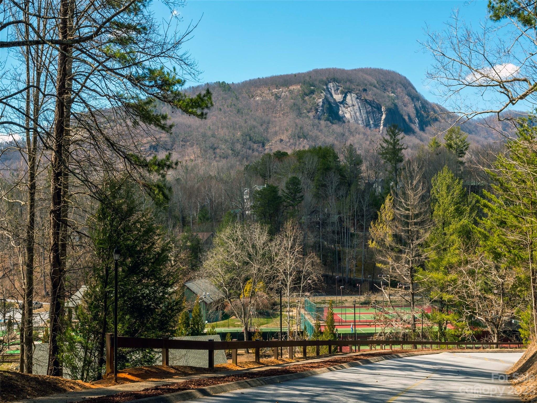 Rumbling Bald on Lake Lure - Land
