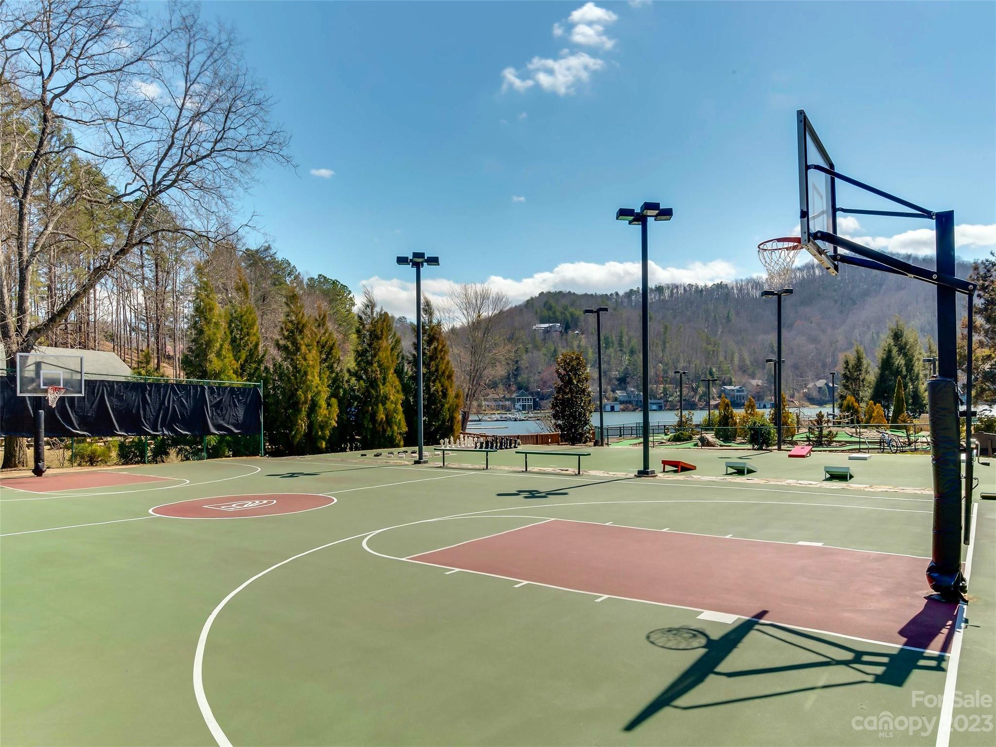 Rumbling Bald on Lake Lure - Land