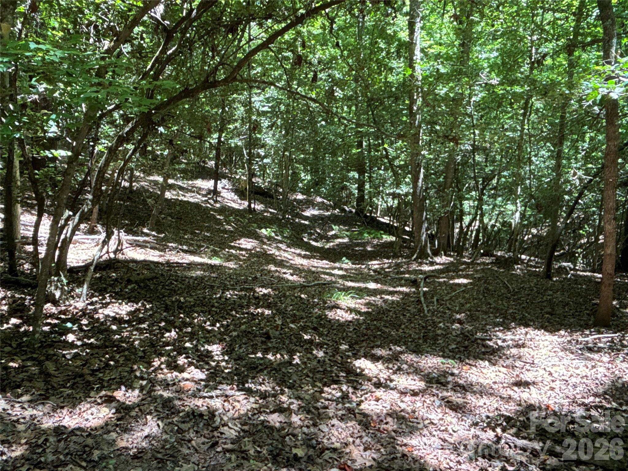 2006 Piedmont Road