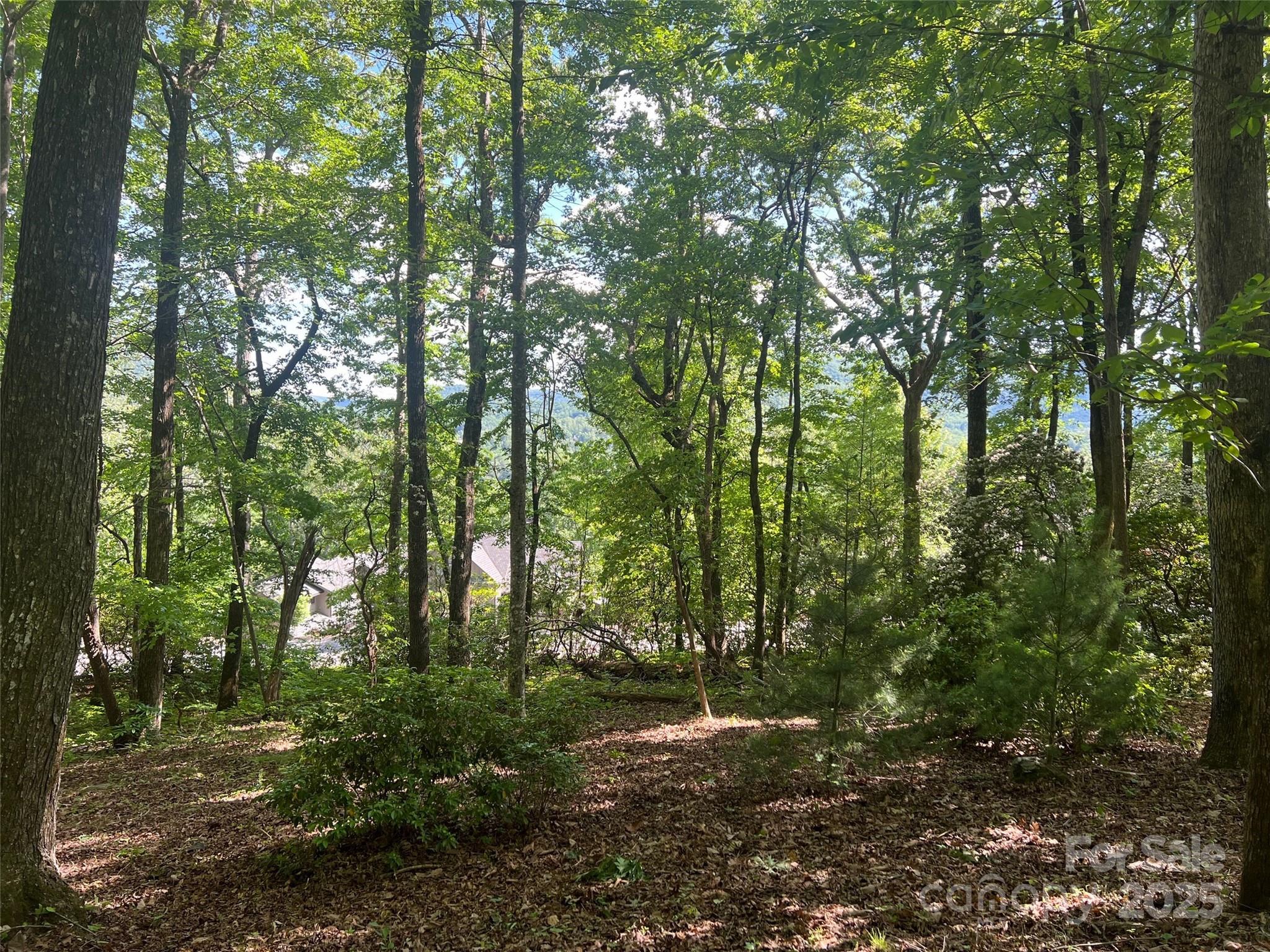 1110 Timberbluff Way