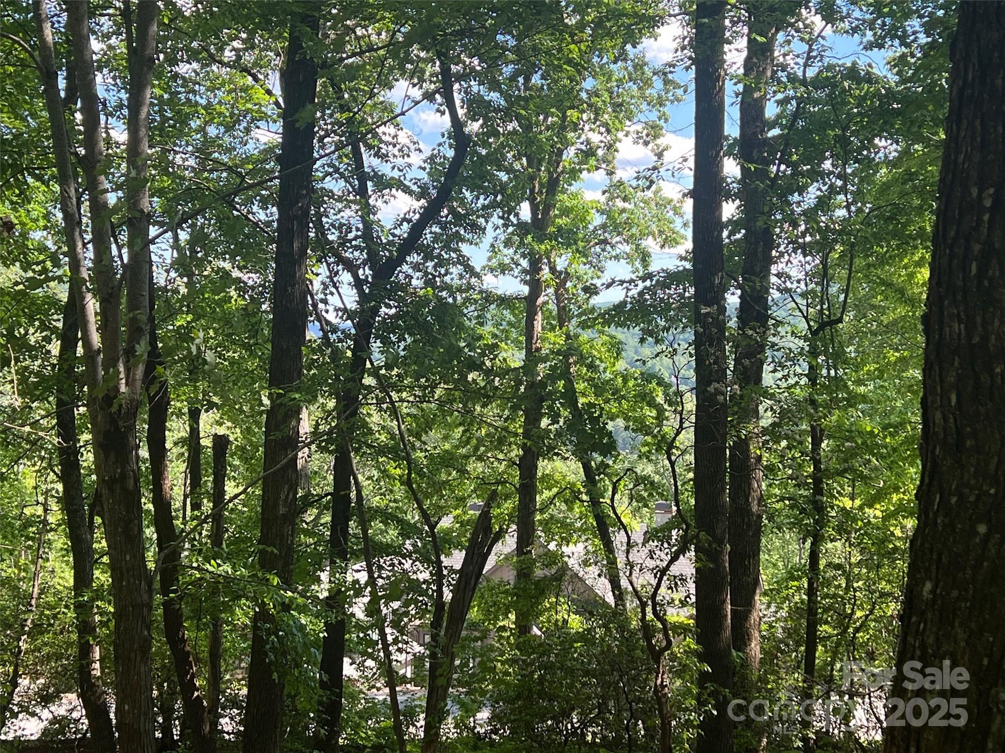 The Cliffs at Walnut Cove - Land