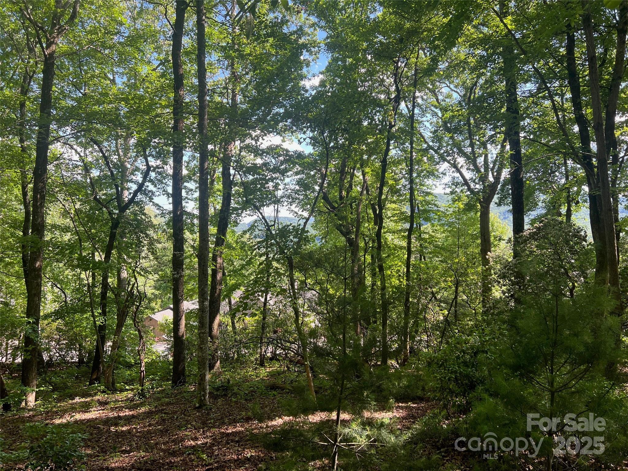 1110 Timberbluff Way