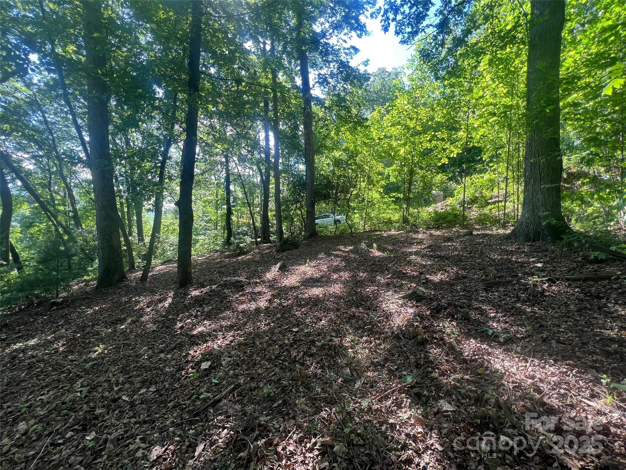 The Cliffs at Walnut Cove - Land