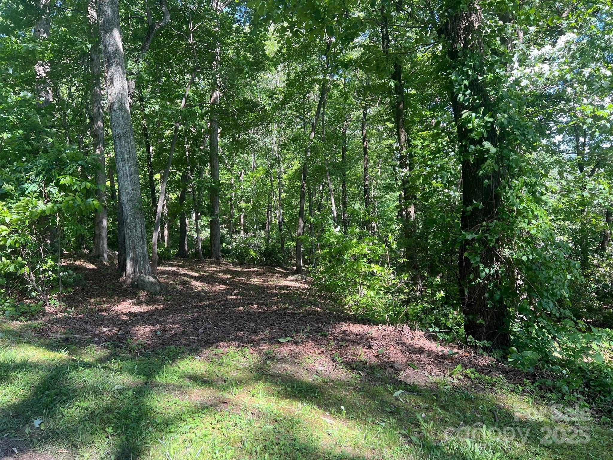 The Cliffs at Walnut Cove - Land