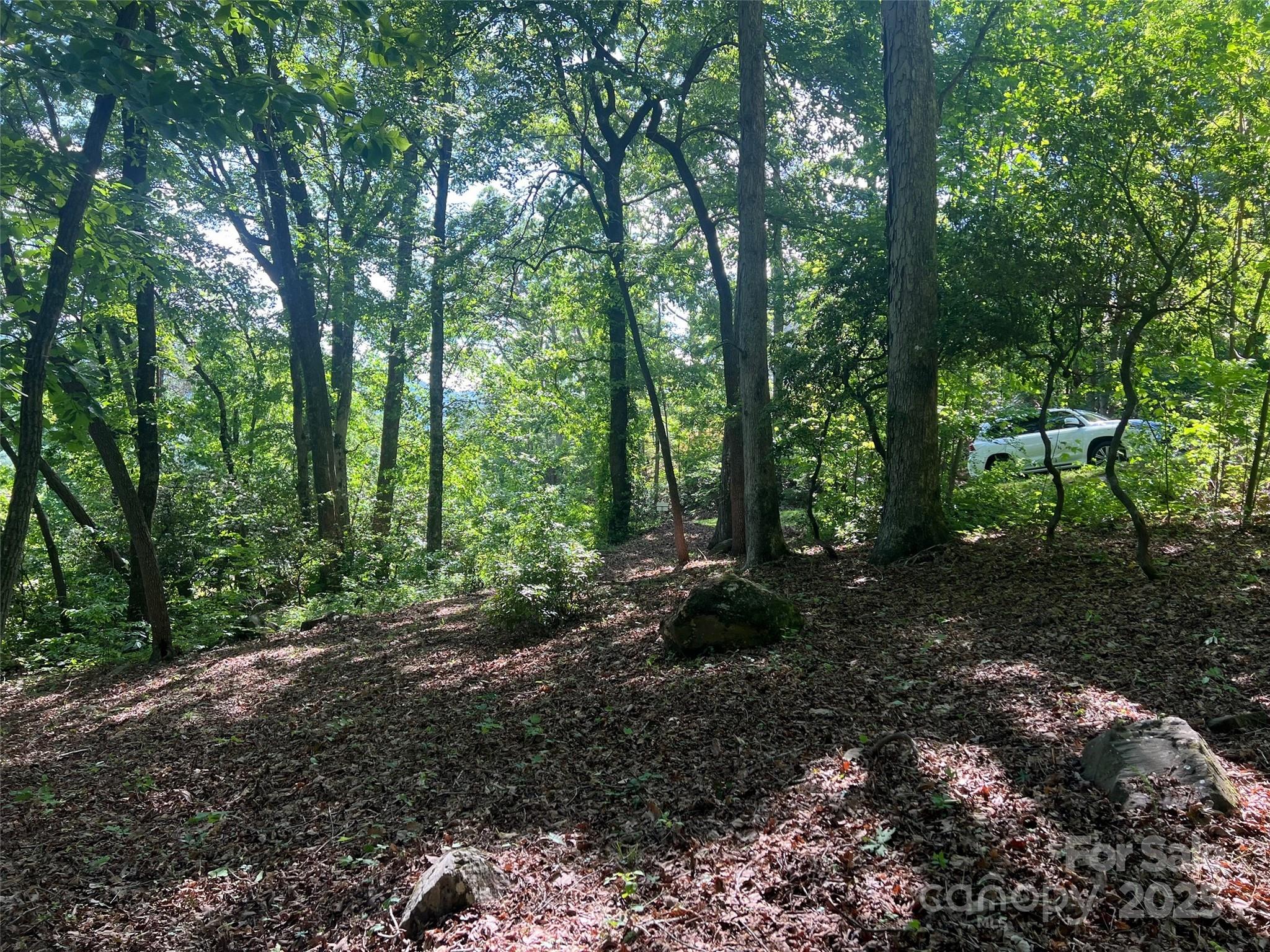1110 Timberbluff Way