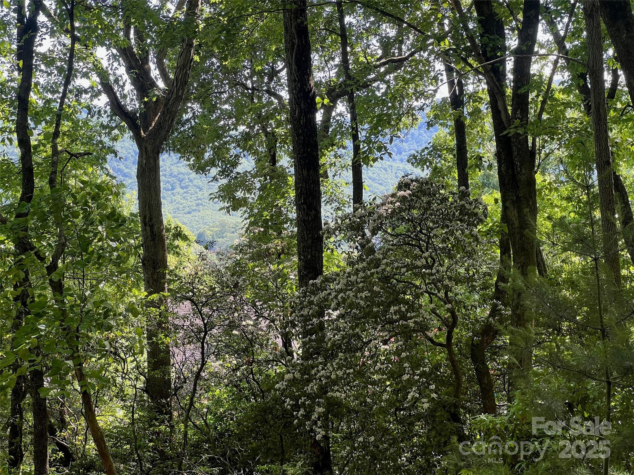 The Cliffs at Walnut Cove - Land