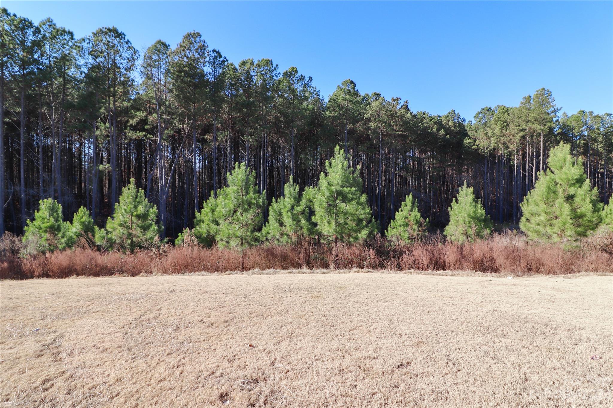Falls Cove at Lake Norman - Residential