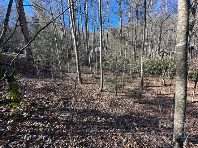 6 Friar Tuck Lane 19
