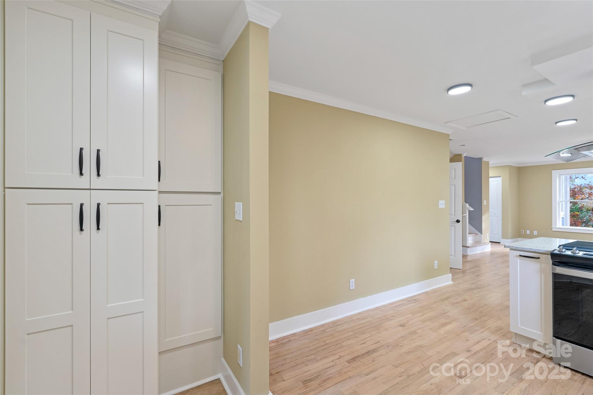 5 Elmore Street