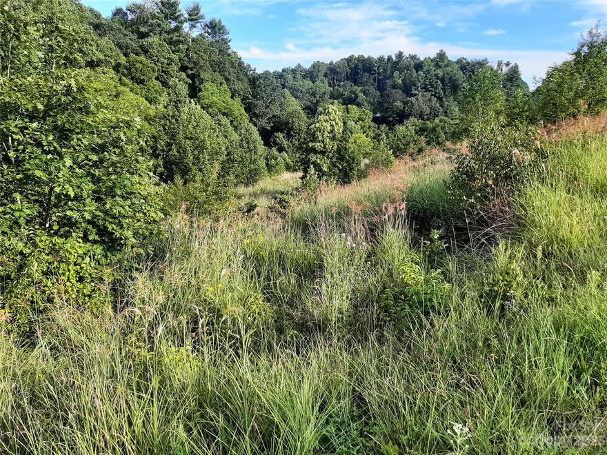 Are you looking to escape onto a little acreage? This picturesque parcel has about 3 acres open with the balance in woods or mixed. It has great potential as a place to create a small farm or specialty agricultural operation. Or it could be a delightful spot for a residence. Or it could just be your special place to retreat to or just to hang out. The eastern boundary has over 1000 feet of frontage on Martin Branch and a small bit of frontage on White Oak Creek. It's pretty and peaceful. It's conveniently located south of NC 213 between Mars Hill and Petersburg and it's about a half hour to Asheville. It's convenient to all those things our mountains are famous for like skiing, white water sports, mountain biking, fishing, hiking and good music. Any contracts for sale of this property will be subject to a 10 day upset bid period handled by Clerk of Court before becoming final. Currently some of the open land has been bush hogged and some of it has some type of very tall grass on it.