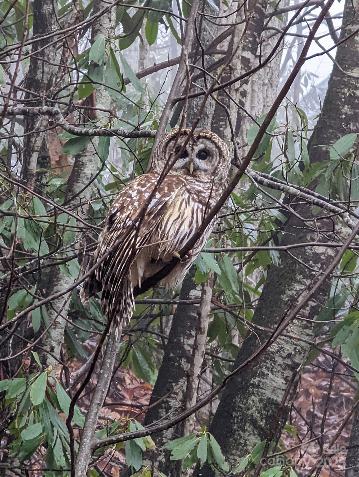 1426 Setzer Cove Road