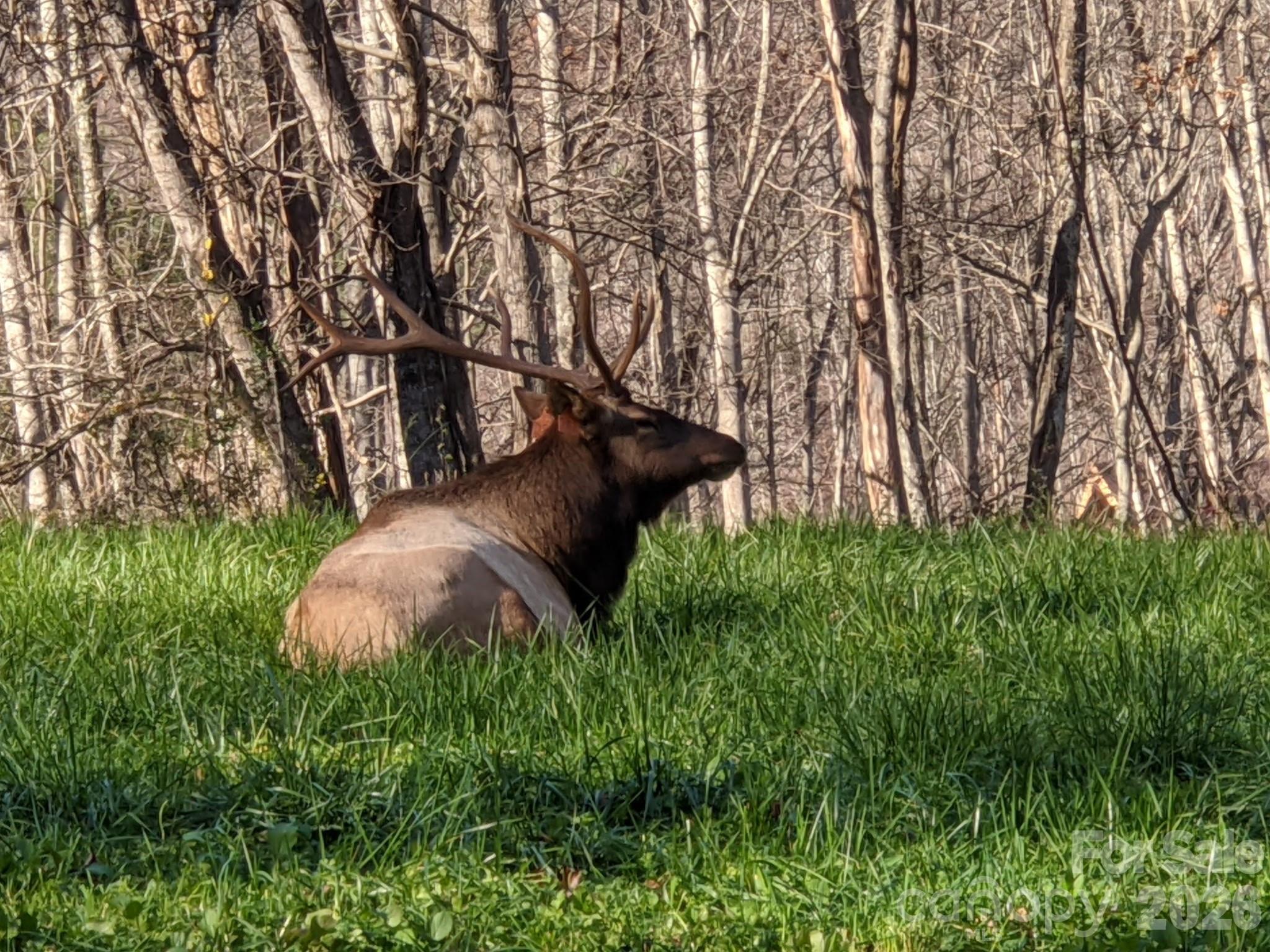 Valley Vista - Residential
