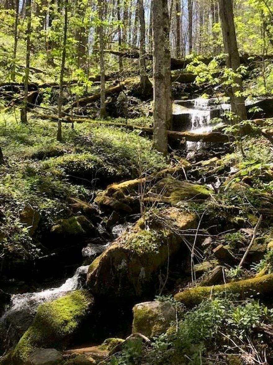 Beautiful piece of property in a gated community. Long range views are achievable with selective clearing. The community amenities include a pond, picnic area and a playground. Approx. 1 acre has been cleared for a building site and a 3 bedroom septic system is already installed.  A shared well connection is available for a nominal connect fee to the HOA. The spring/waterfall pic is at the bottom corner of the actual property!  No manufactured or modular homes allowed, only single family homes. Close to Maggie Valley and Cataloochie Ski area and short term rentals are allowed.