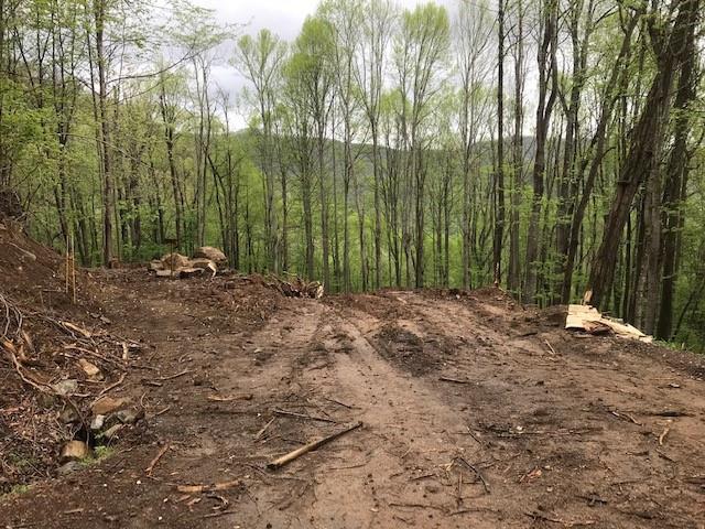 Cataloochee Mountain Estates - Land