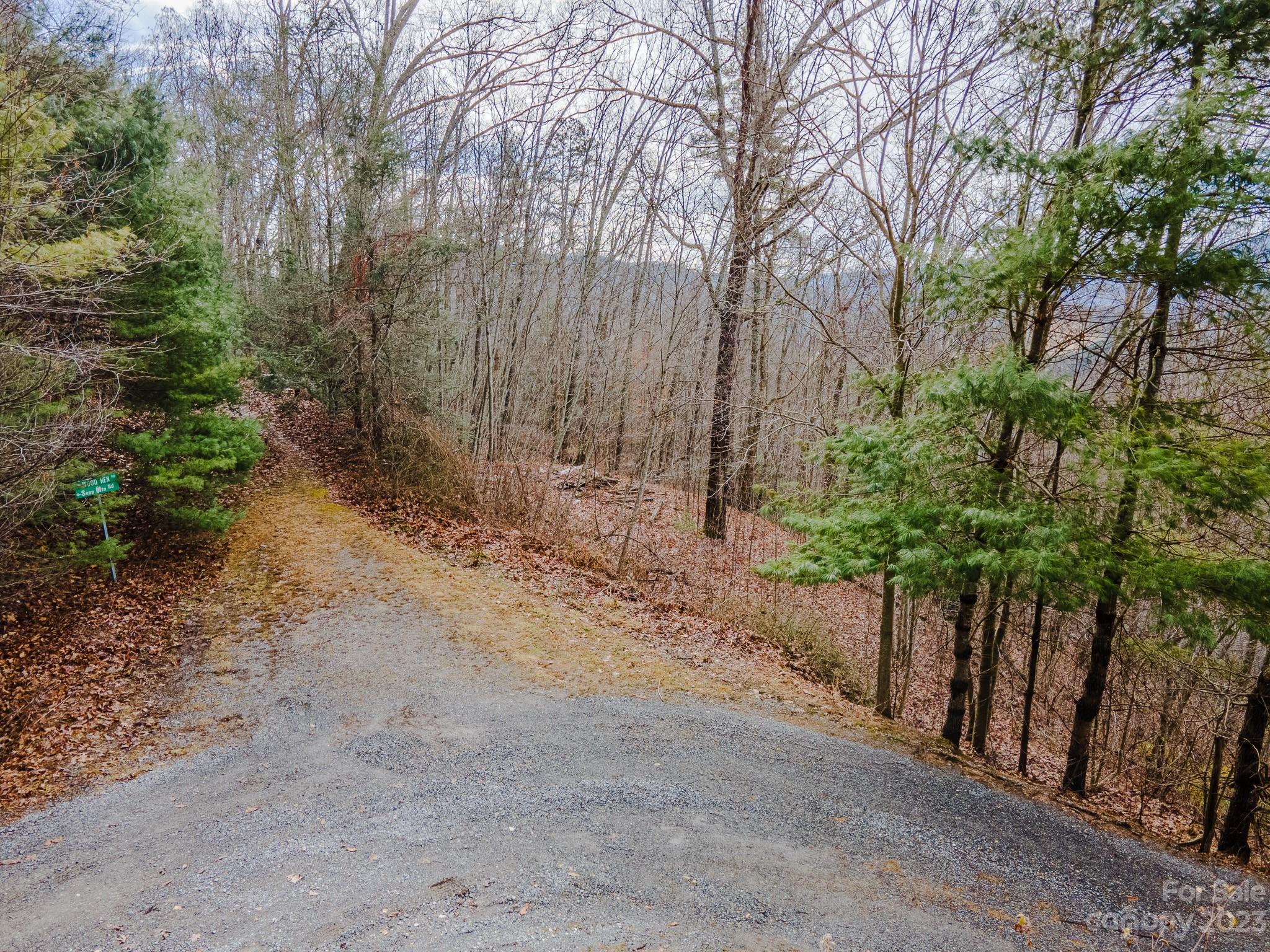 Seay Mountain - Land