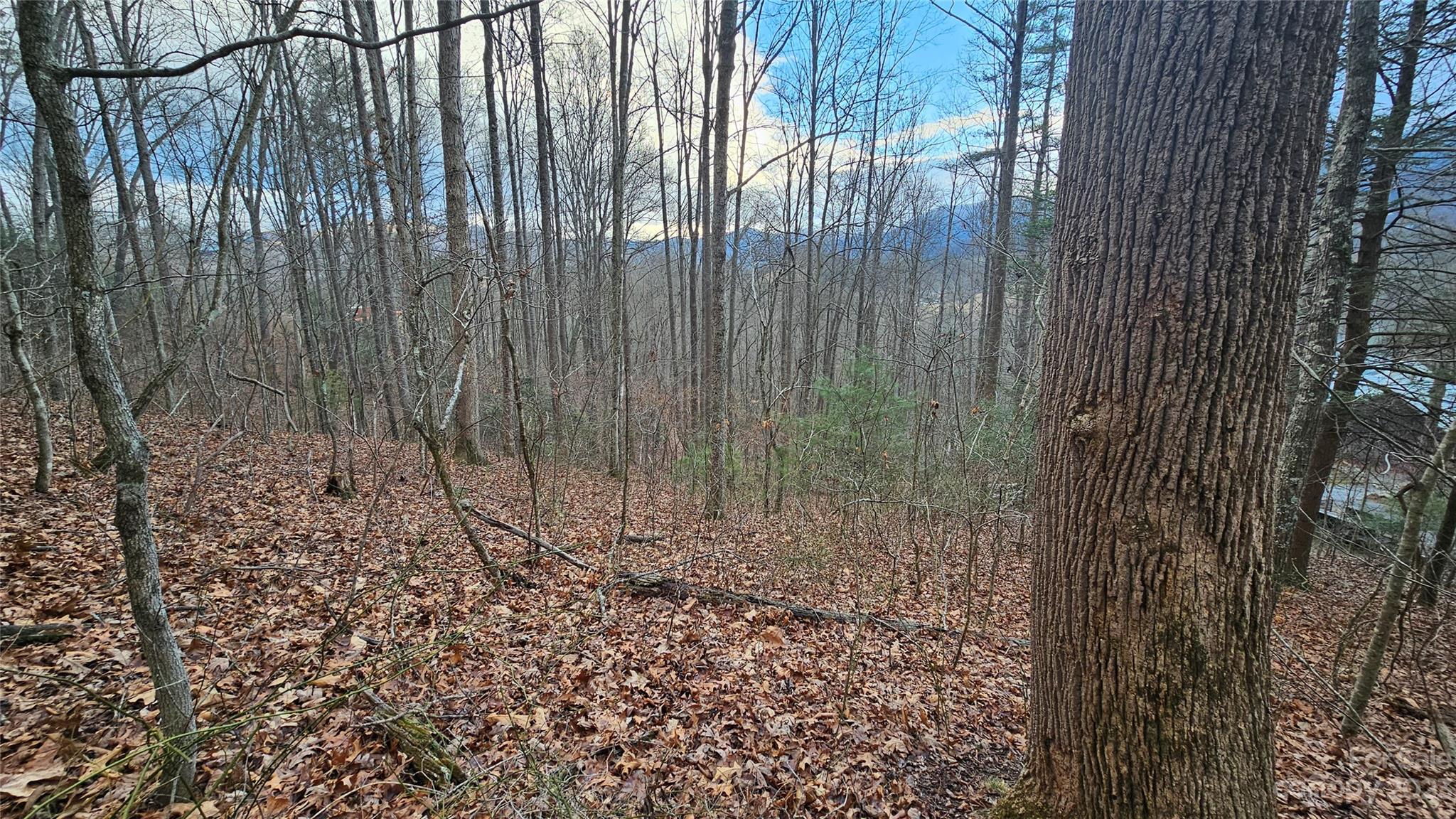 Seay Mountain - Land