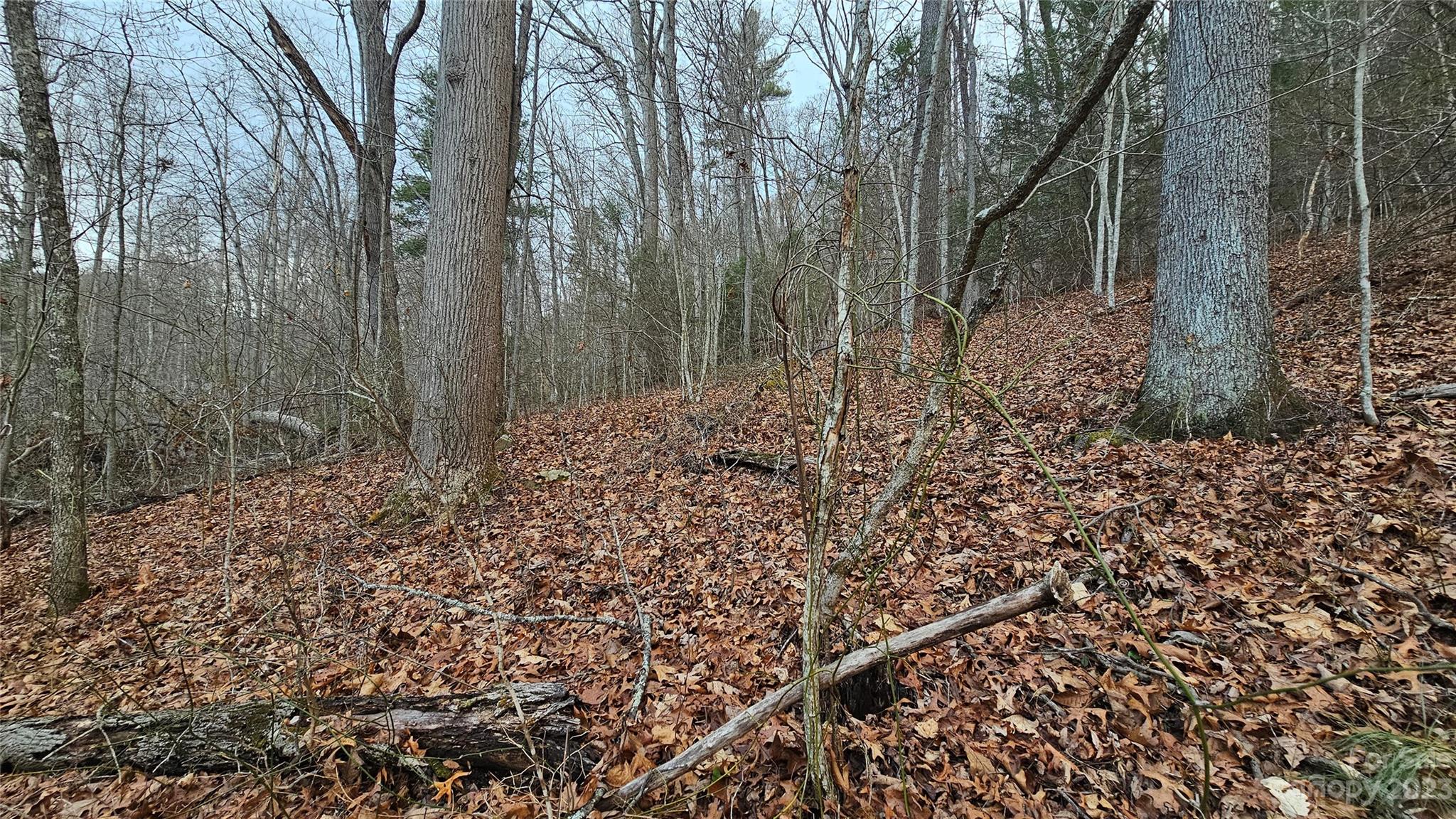 Lot 14 Seay Mountain Road