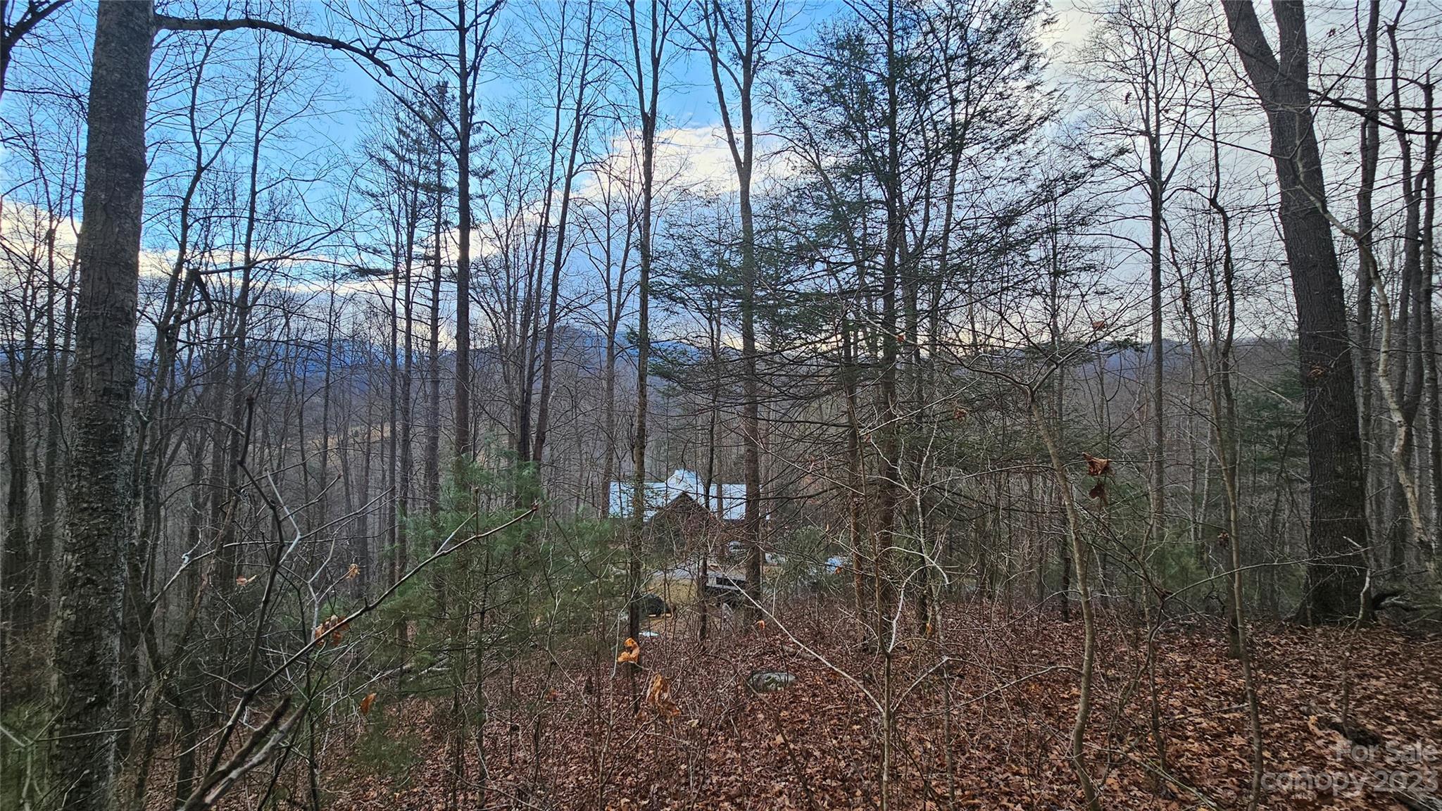 Seay Mountain - Land