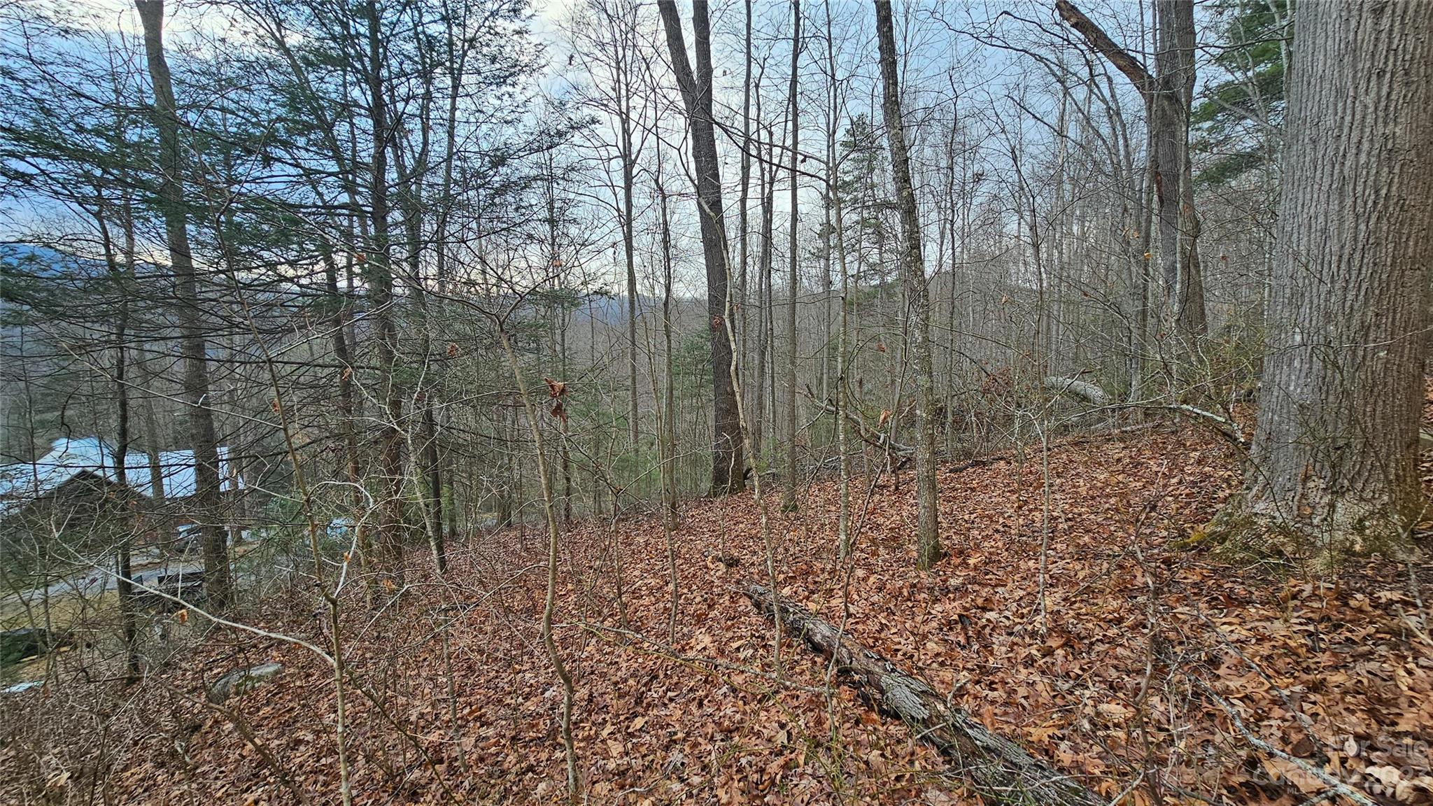 Seay Mountain - Land