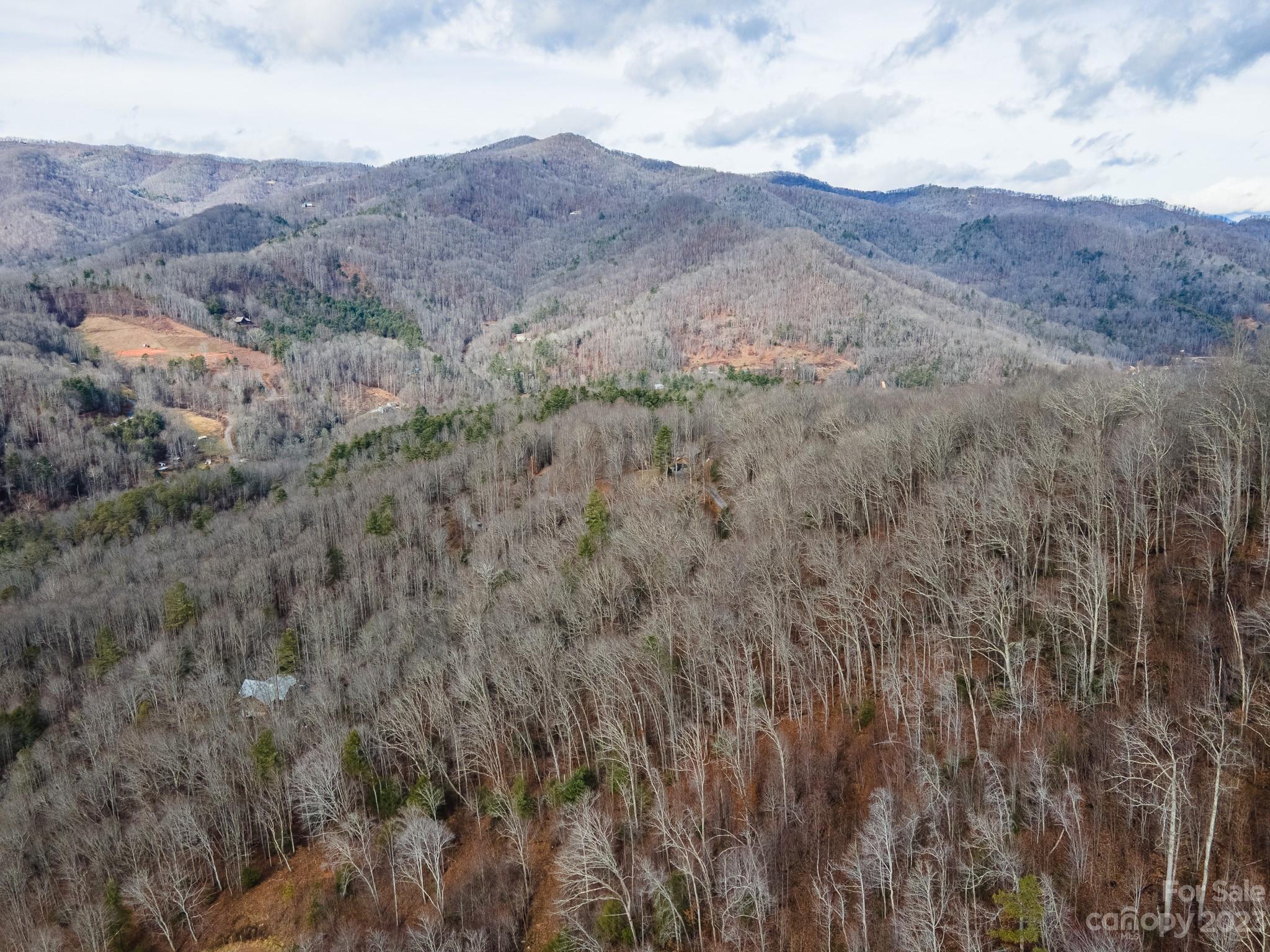 Seay Mountain - Land