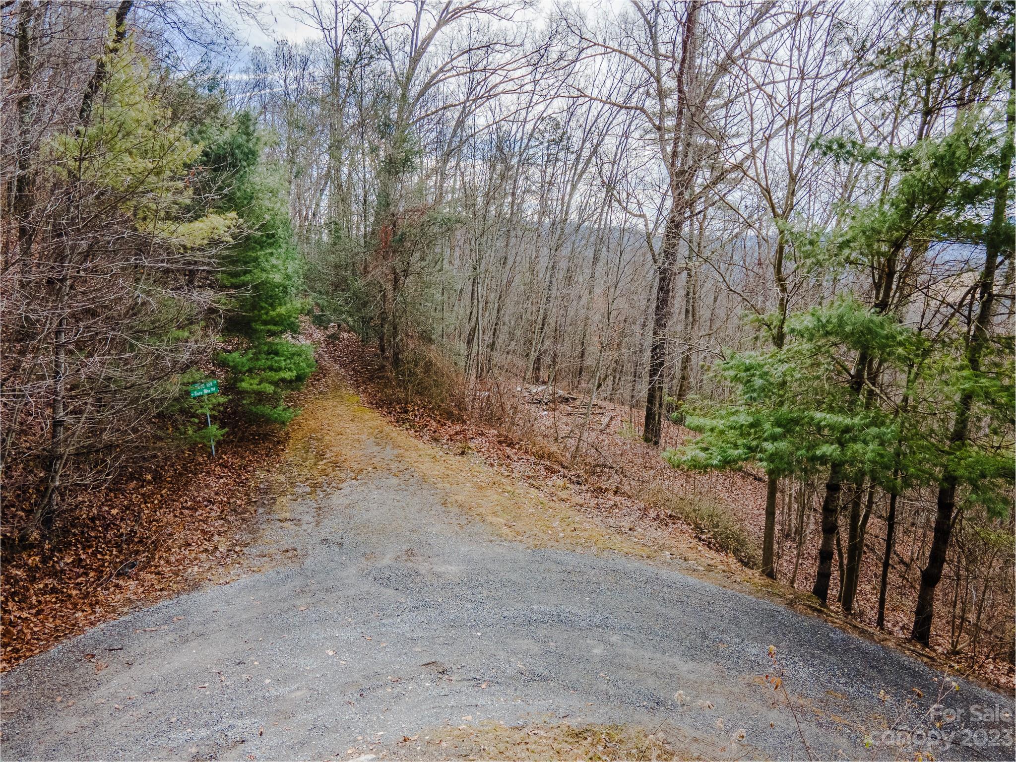 Seay Mountain - Land