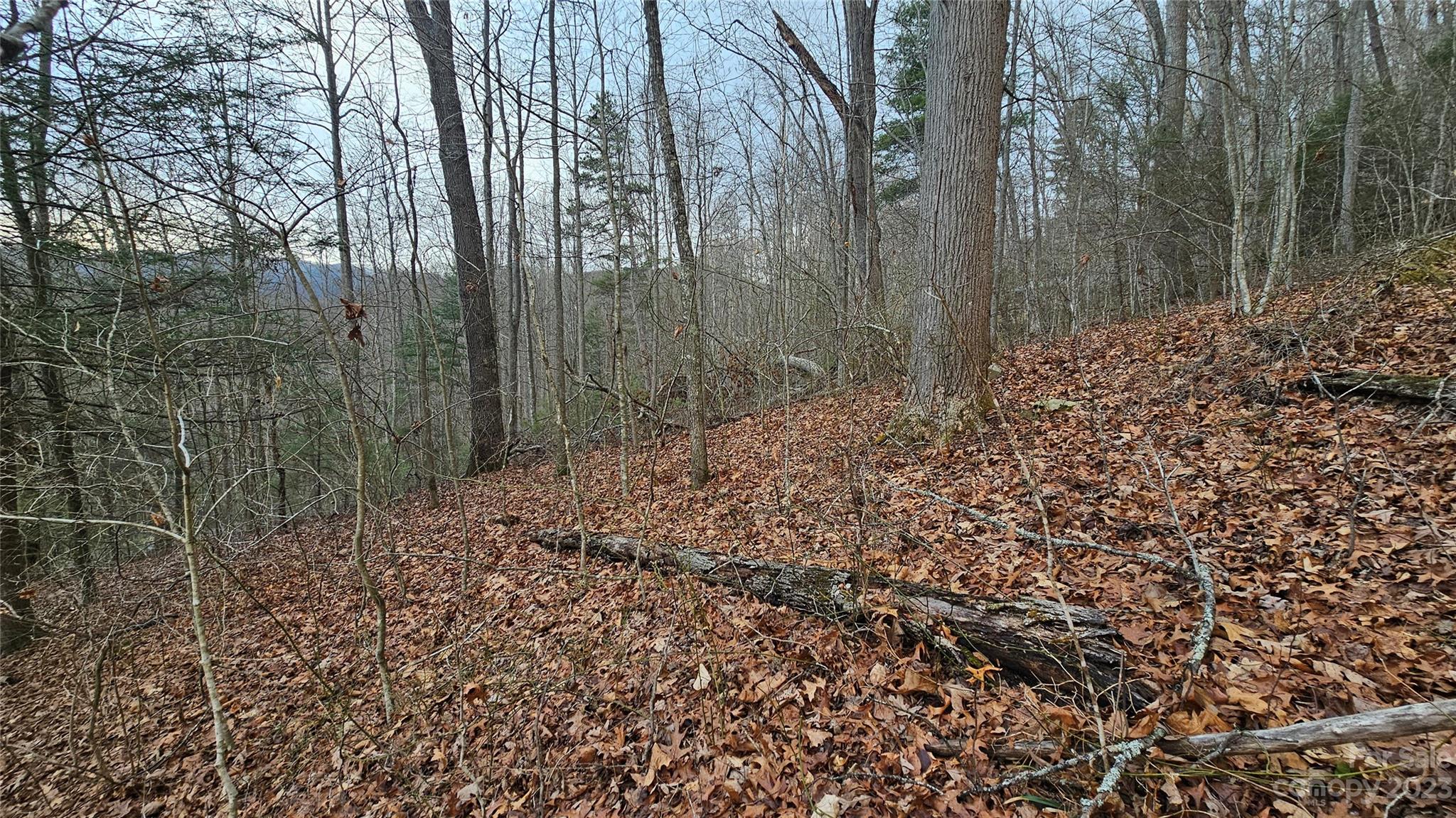 Lot 14 Seay Mountain Road