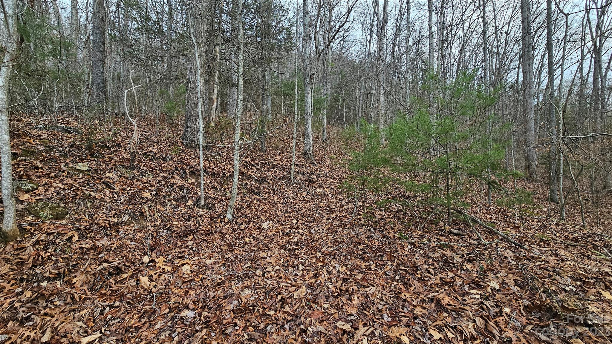 Lot 14 Seay Mountain Road