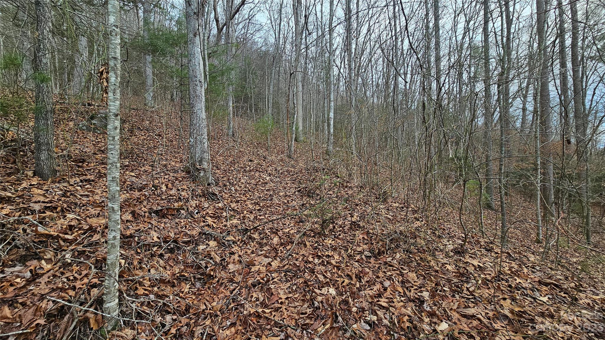 Lot 14 Seay Mountain Road