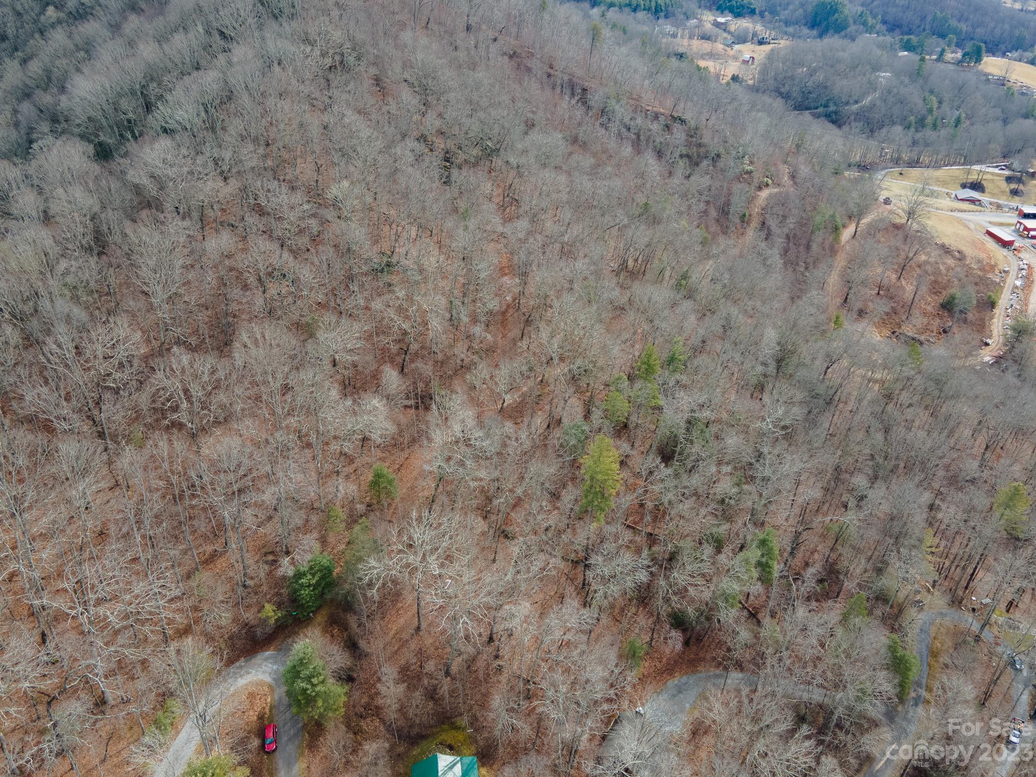 Seay Mountain - Land