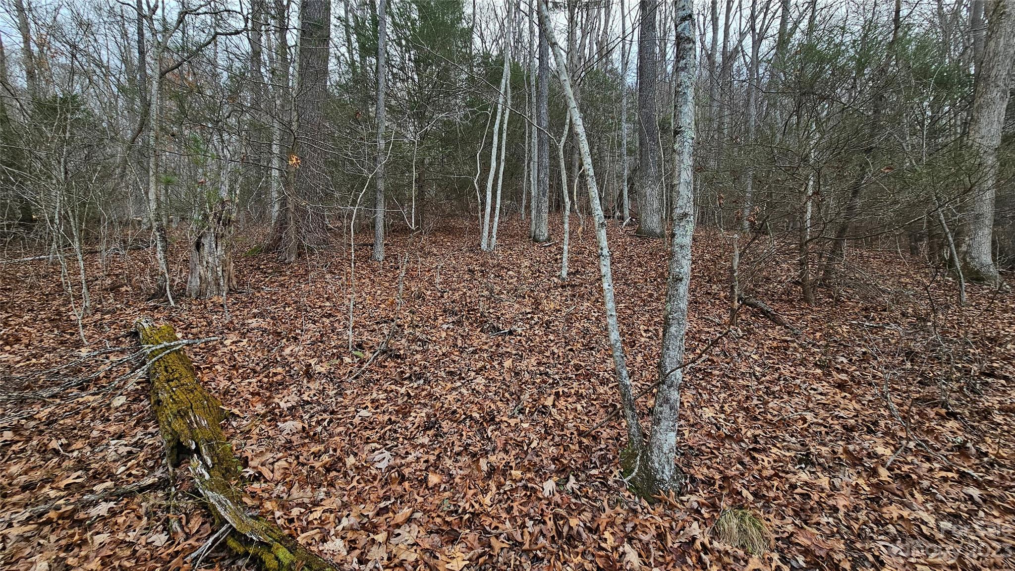 Seay Mountain - Land