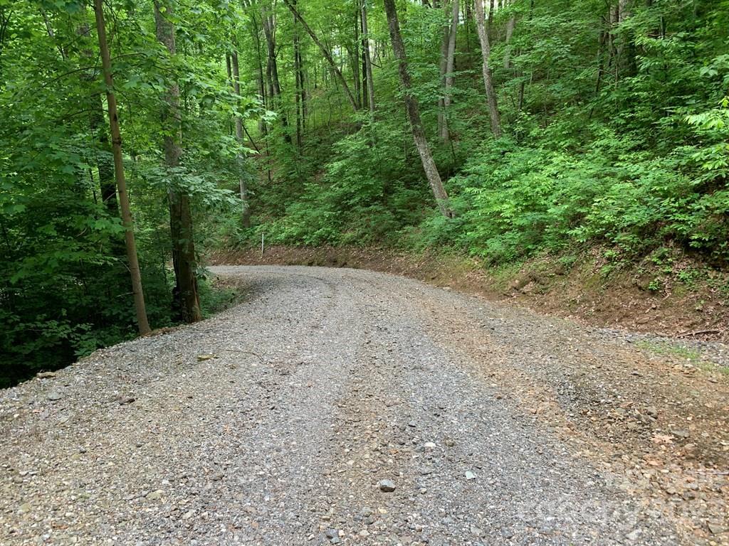 Sylva, North Carolina 28779, United States, ,Land,Under Contract,67684