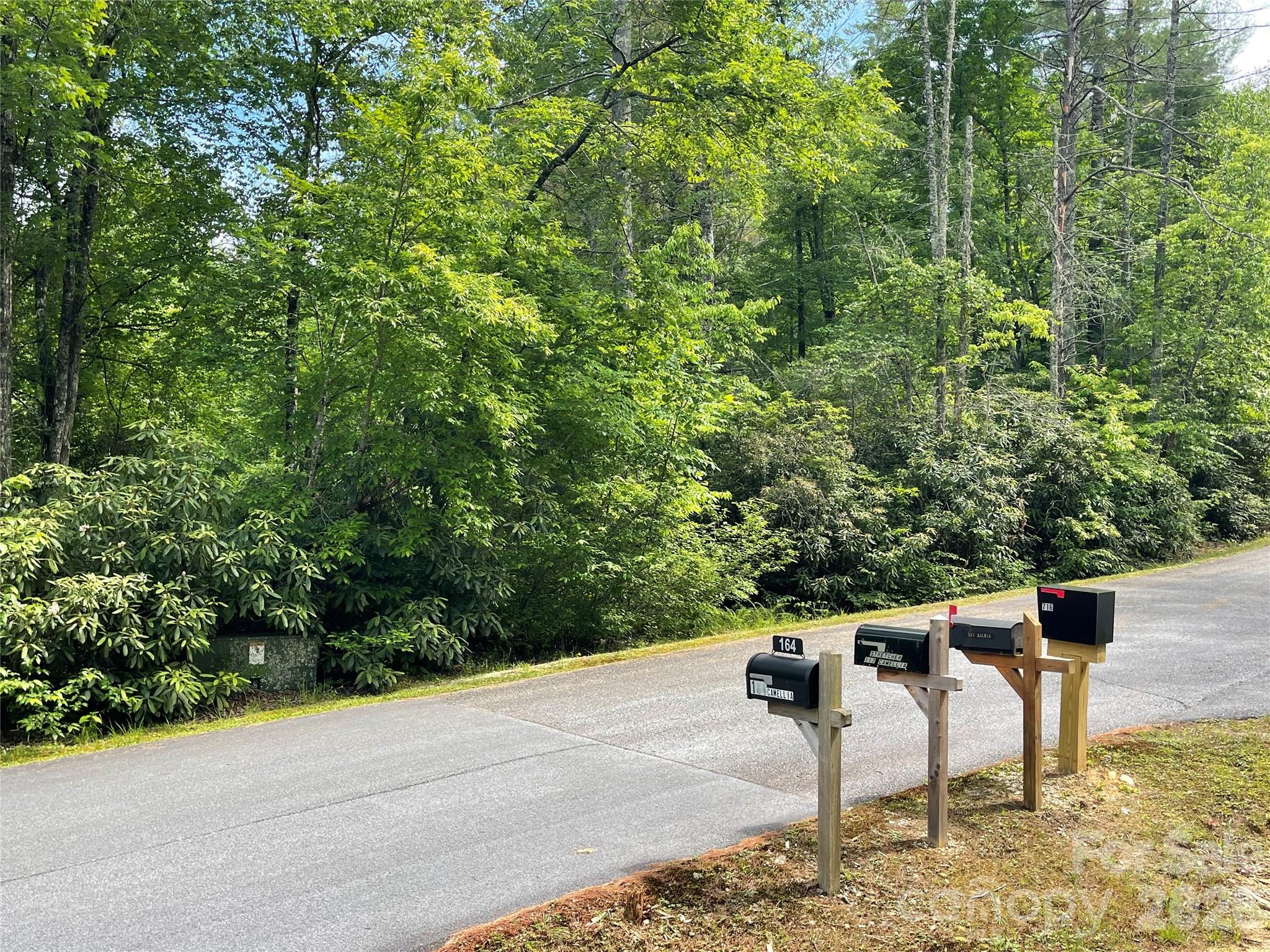 Lot 45 Abby Falls Drive