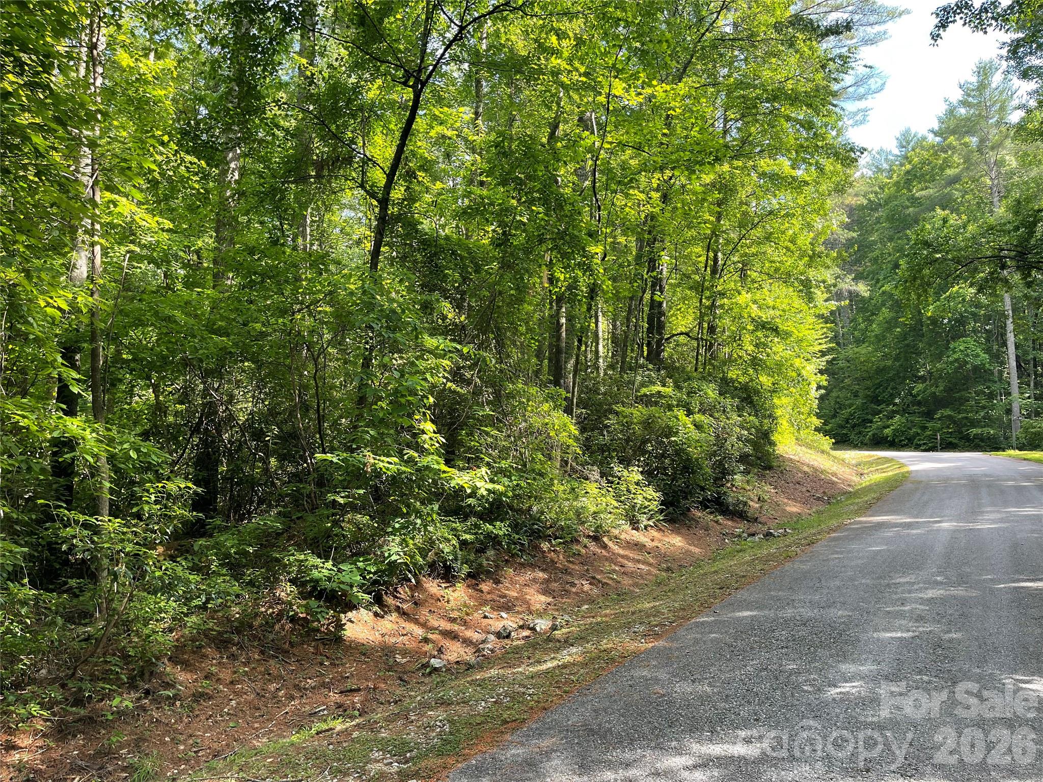 Lot 45 Abby Falls Drive