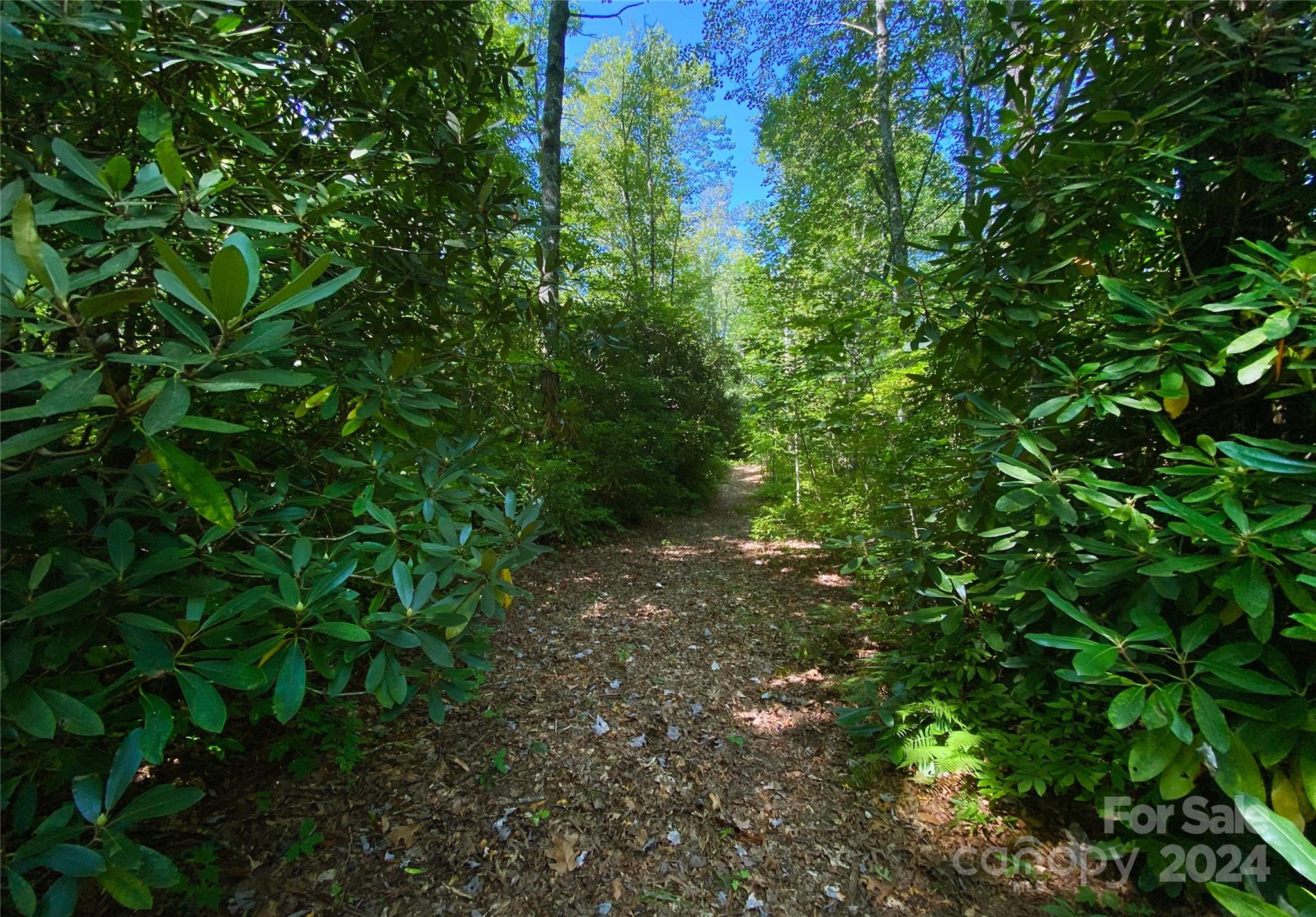 Sweetwater Ridge - Land