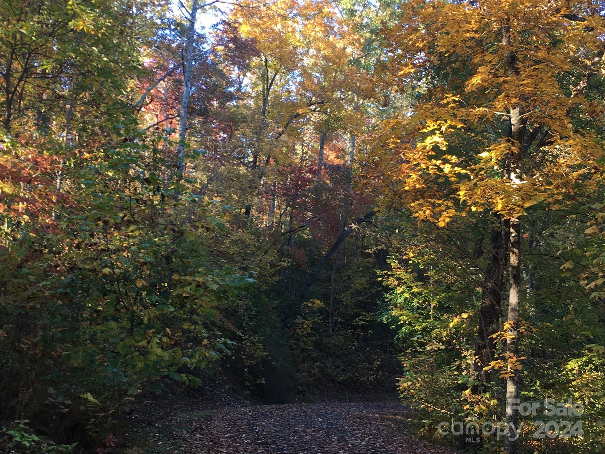 Sweetwater Ridge - Land