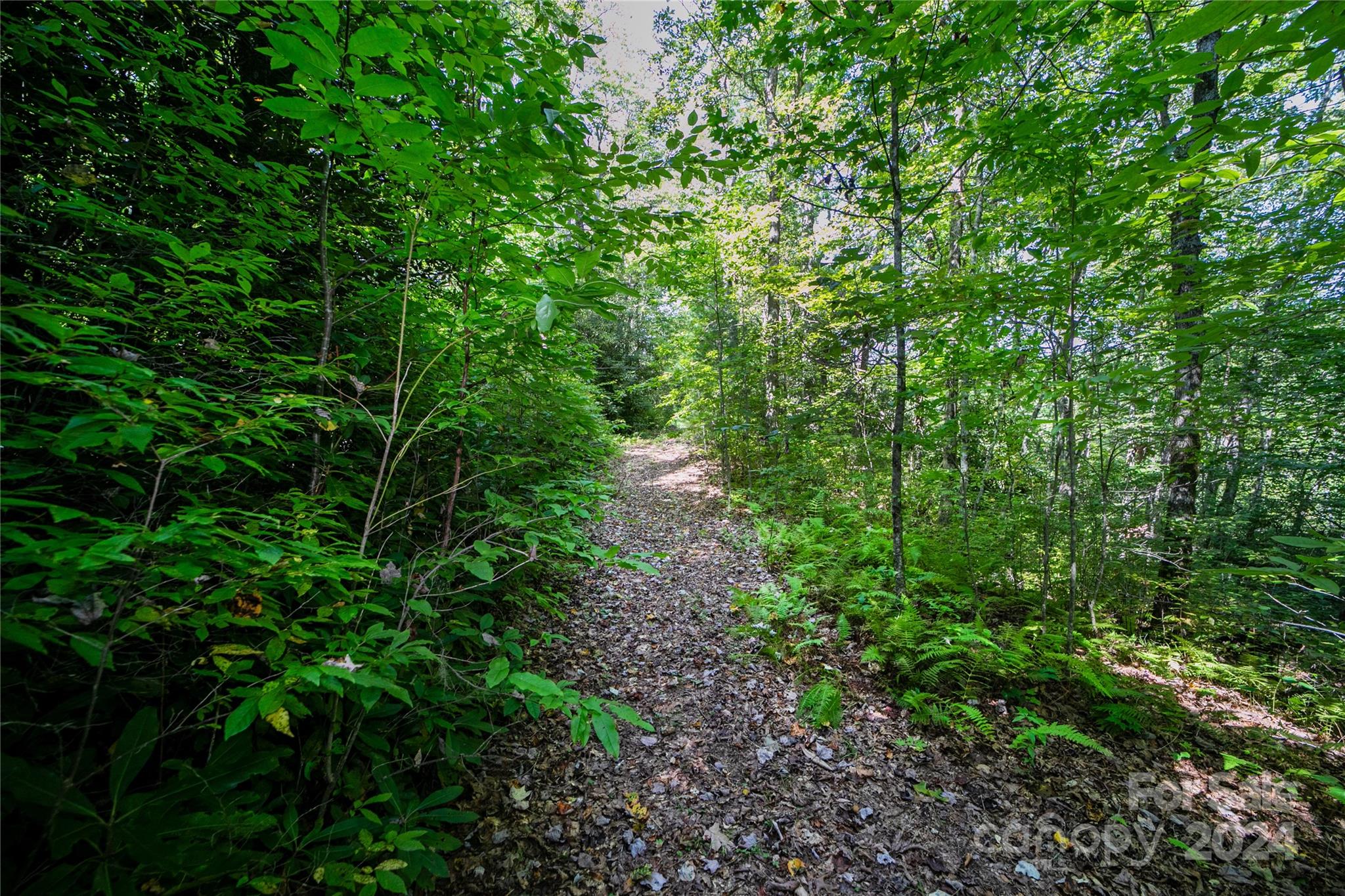 Sweetwater Ridge - Land