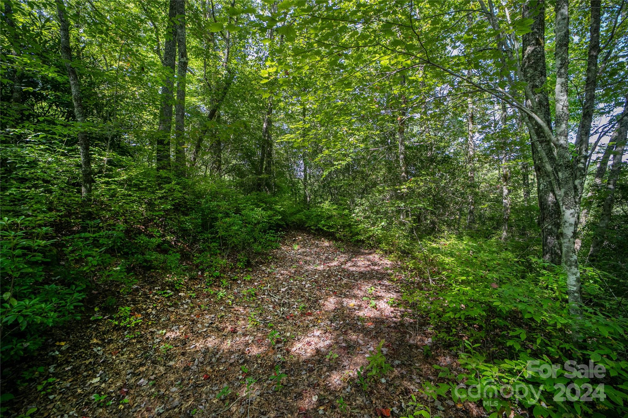 Sweetwater Ridge - Land