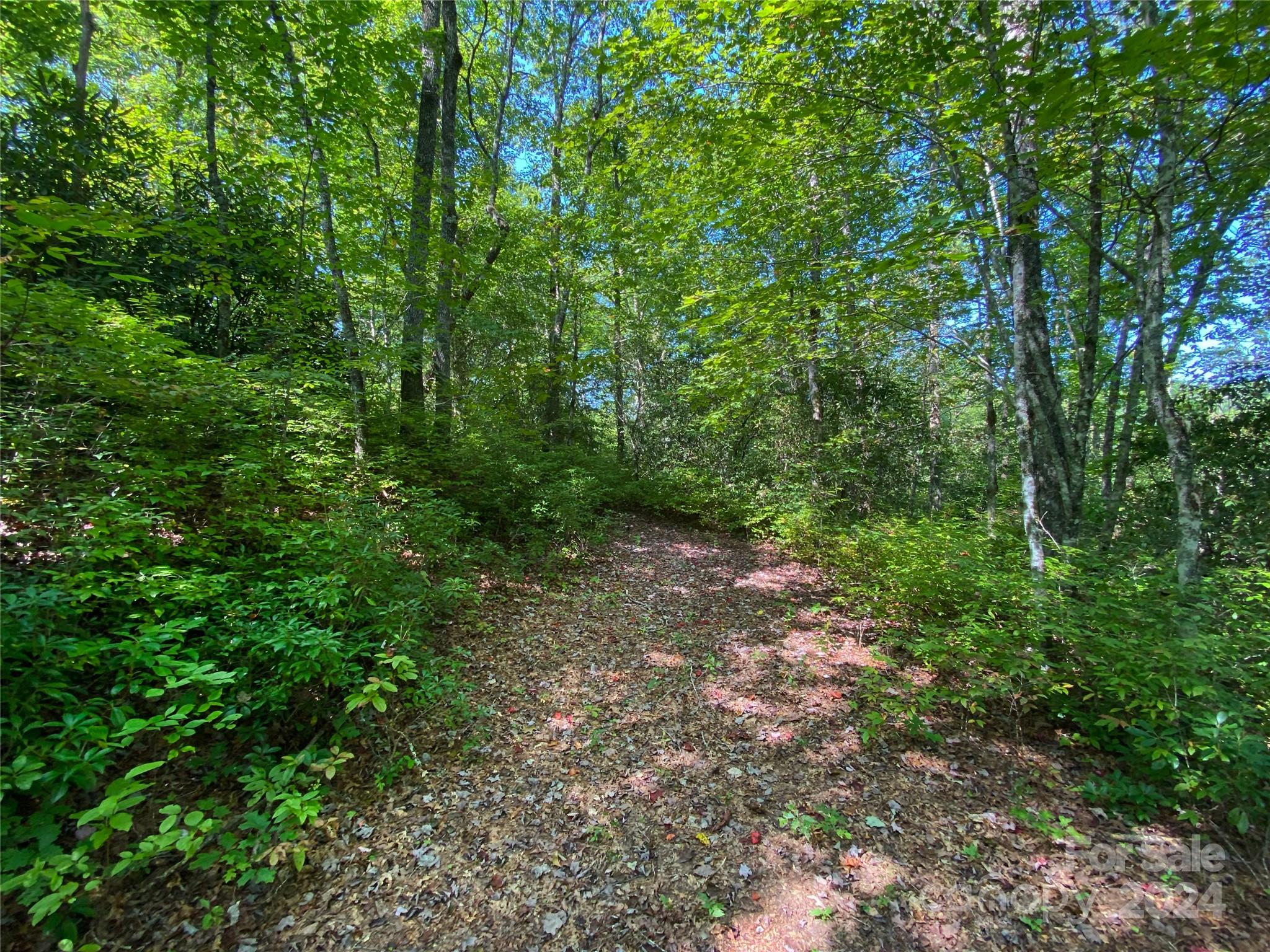 Sweetwater Ridge - Land