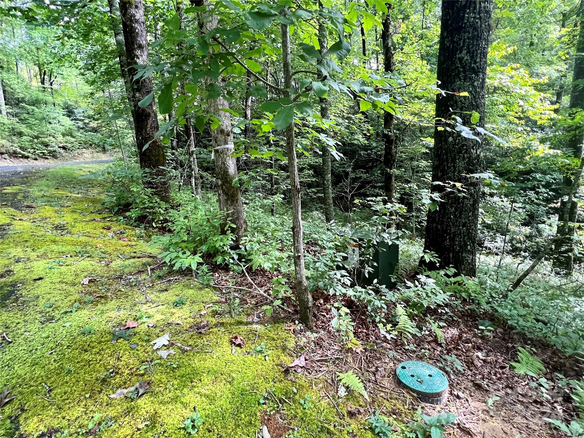 Sweetwater Ridge - Land