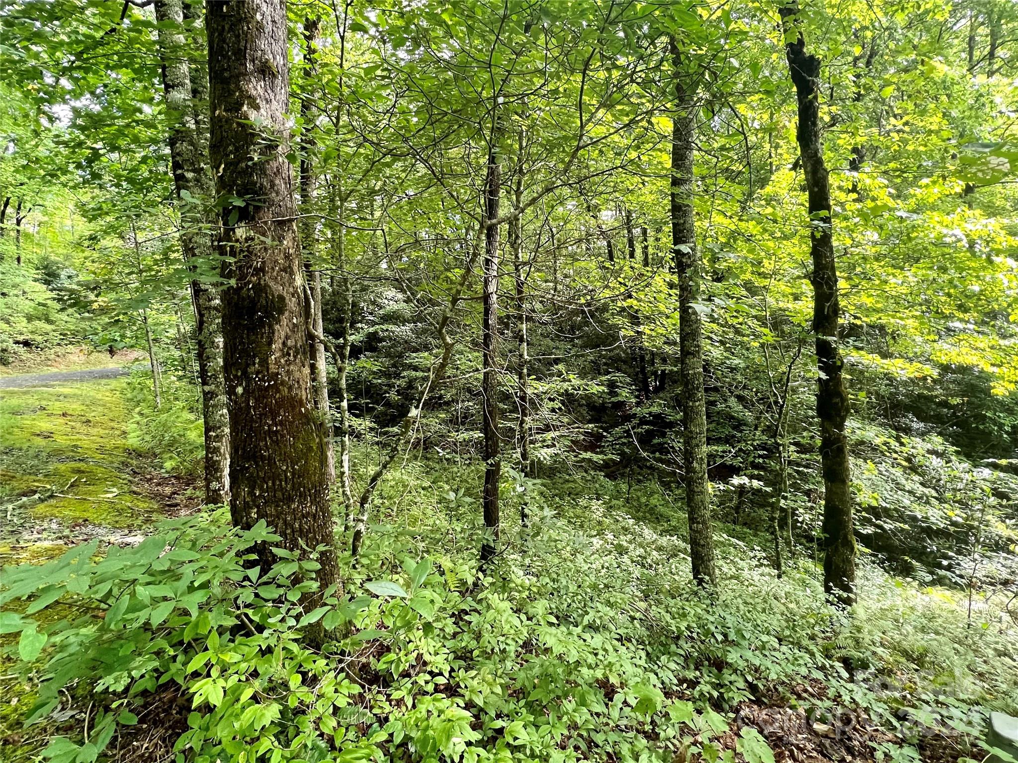 Sweetwater Ridge - Land