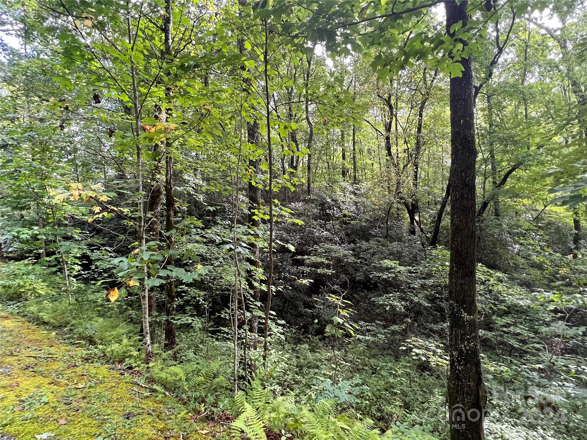 Sweetwater Ridge - Land