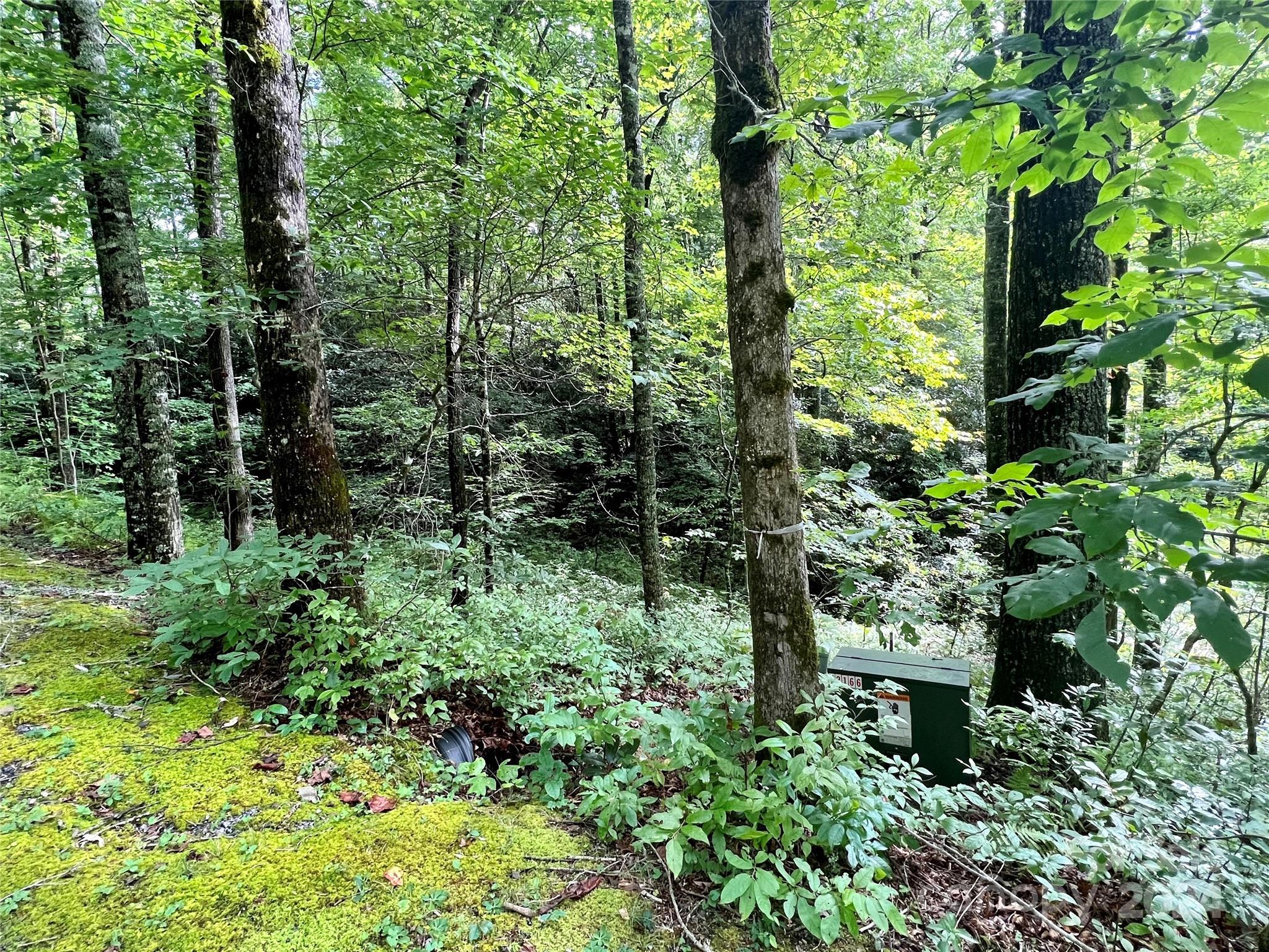 Sweetwater Ridge - Land