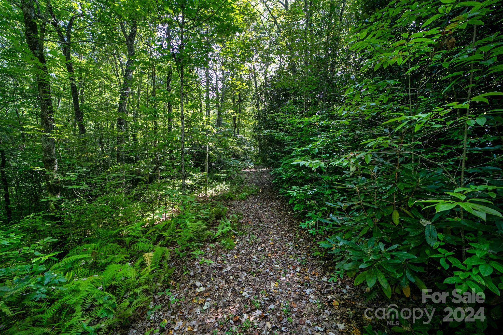 Sweetwater Ridge - Land