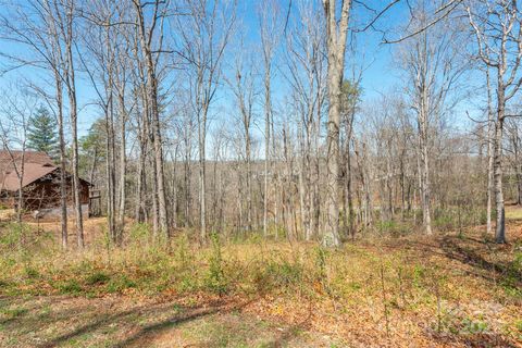 45 Sweet Fern Parkway 43 Asheville NC 28804