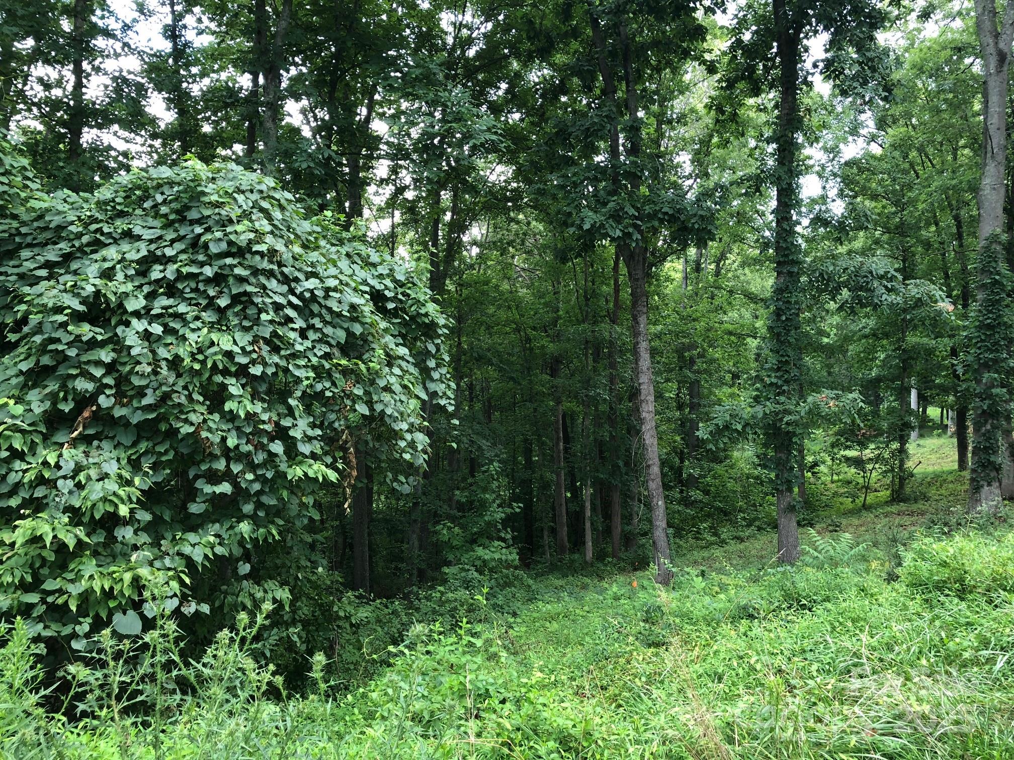 45 Sweet Fern Parkway 43
