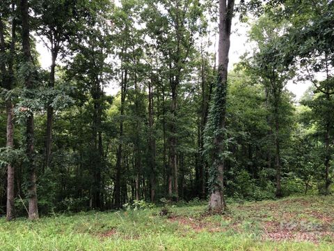 45 Sweet Fern Parkway 43 Asheville NC 28804