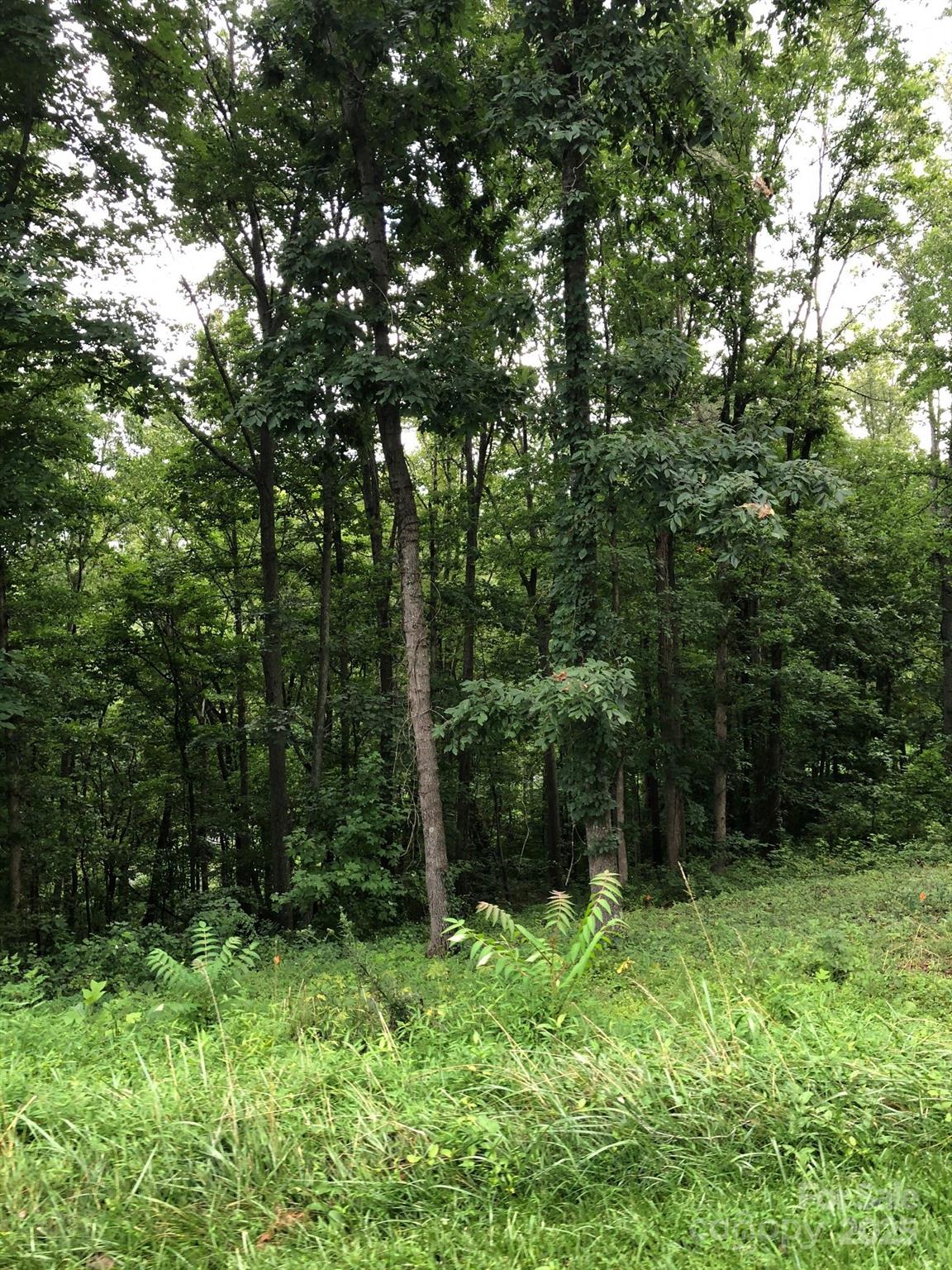 45 Sweet Fern Parkway 43